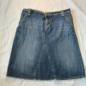 Banana Republic Blue A-Line Denim Skirt